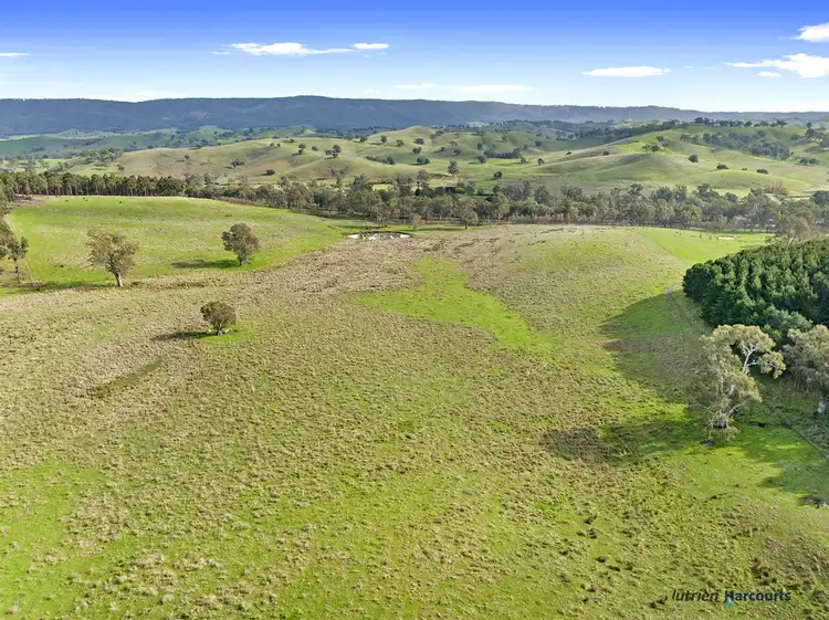 Sixth view of Homely rural property listing, 7212 Maroondah Highway, Yarck VIC 3719