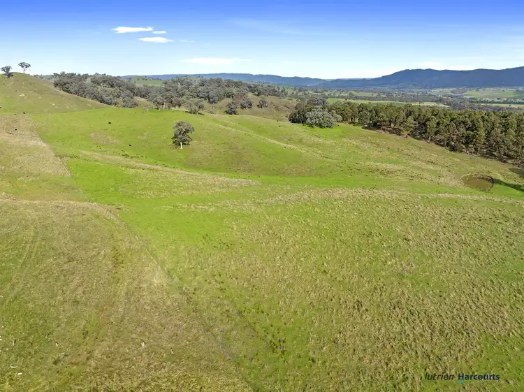 Seventh view of Homely rural property listing, 7212 Maroondah Highway, Yarck VIC 3719