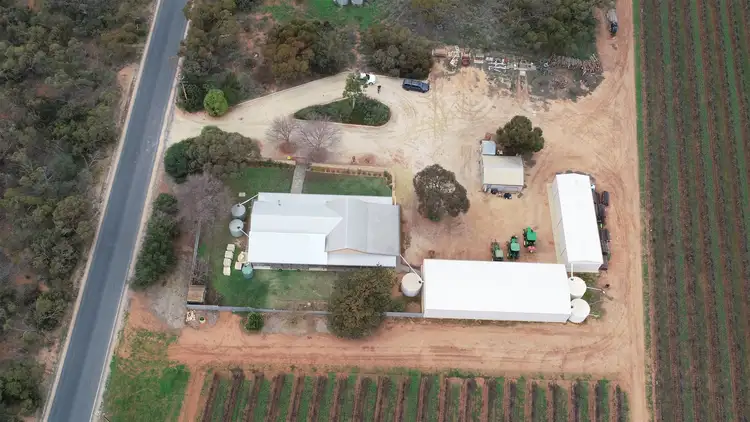 Second view of Homely house listing, 182 Tunkin Road, Barmera SA 5345