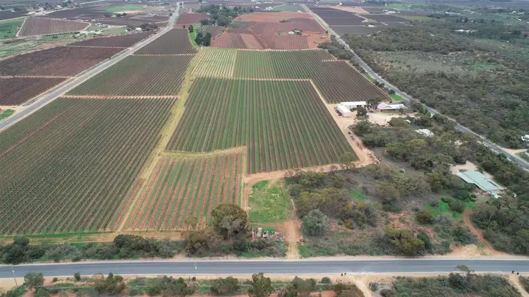 Third view of Homely house listing, 182 Tunkin Road, Barmera SA 5345