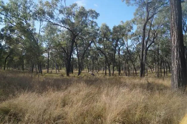 Second view of Homely rural property listing, Camel Creek Station, Greenvale QLD 4816