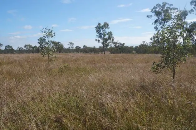 Fourth view of Homely rural property listing, Camel Creek Station, Greenvale QLD 4816