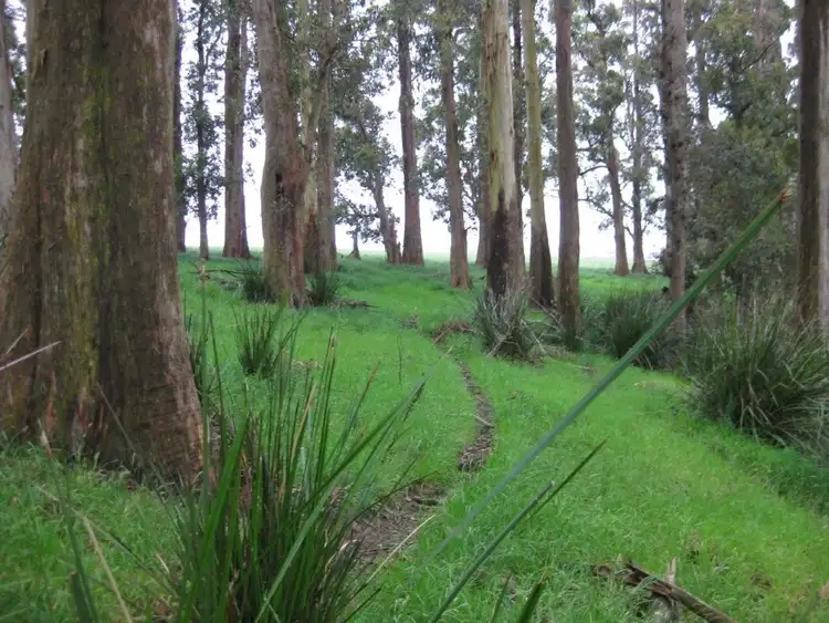 Seventh view of Homely rural property listing, 65 Scotchtown Road, Smithton TAS 7330