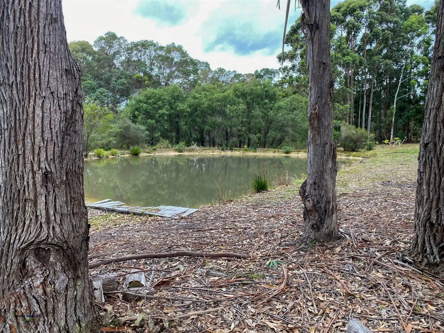 Main view of Homely rural property listing, 12 Saggers Road, Denmark WA 6333