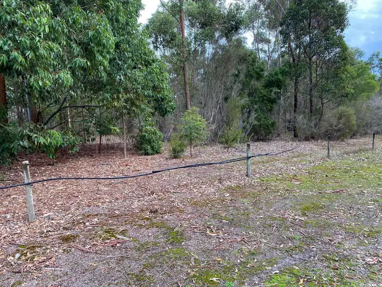 Sixth view of Homely rural property listing, 12 Saggers Road, Denmark WA 6333