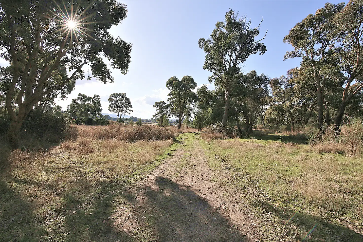Main view of Homely rural property listing, - Thompson Street, Elphinstone VIC 3448