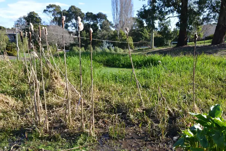 Third view of Homely land listing, 590 Forth Road, Forth TAS 7310