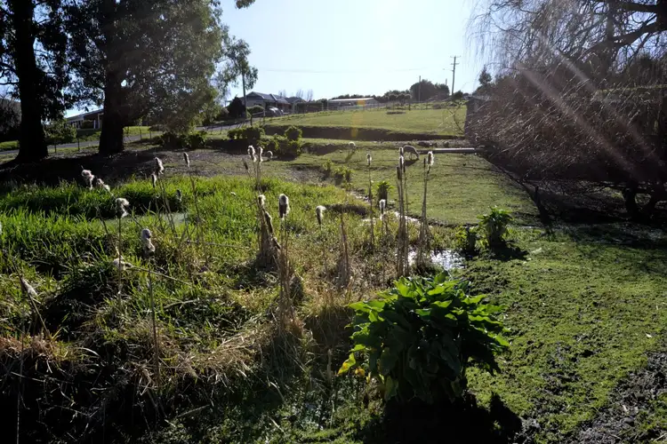 Fourth view of Homely land listing, 590 Forth Road, Forth TAS 7310