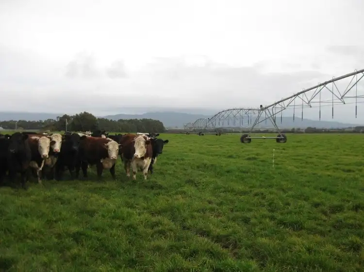 Third view of Homely rural property listing, 936 Bishopsbourne Road, Bishopsbourne TAS 7301