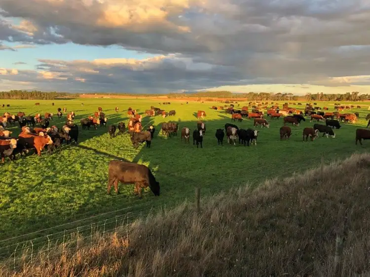 Fourth view of Homely rural property listing, 936 Bishopsbourne Road, Bishopsbourne TAS 7301