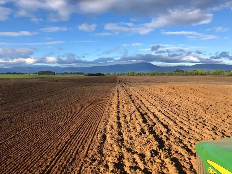 Fifth view of Homely rural property listing, 936 Bishopsbourne Road, Bishopsbourne TAS 7301
