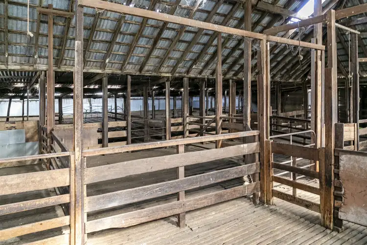 Seventh view of Homely rural property listing, 20546 Flinders Highway, Talia SA 5670