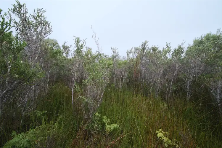 Third view of Homely land listing, 88 Henty Road, Strahan TAS 7468