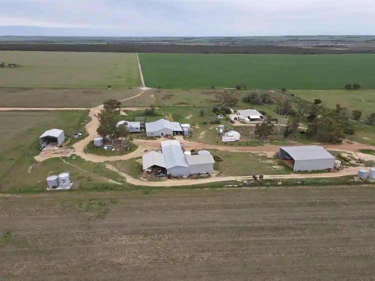 Main view of Homely rural property listing, 2299 Buntine - Marchagee Road, Marchagee WA 6515