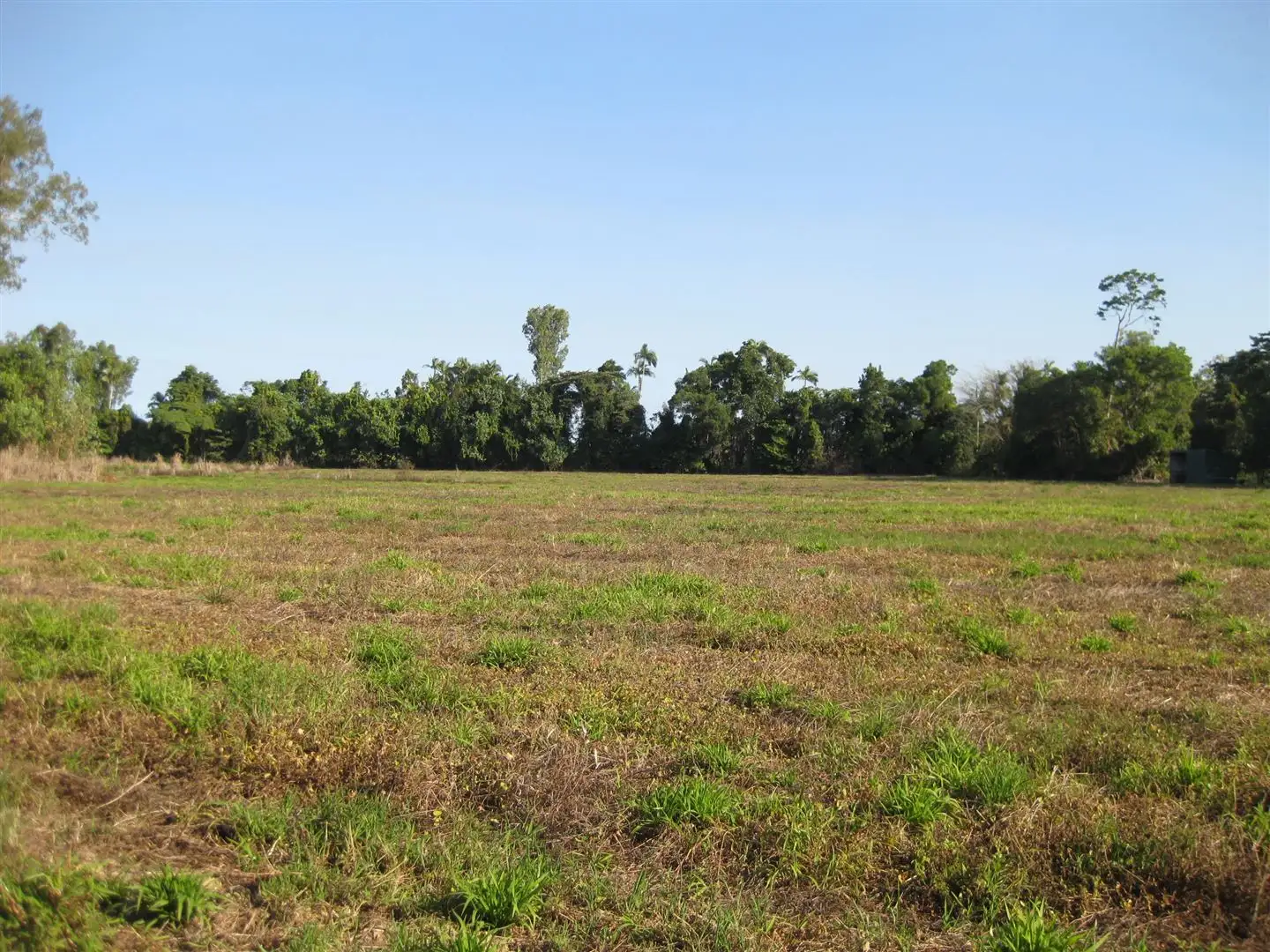 Main view of Homely rural property listing, 55 Marron Road, Lower Tully QLD 4854