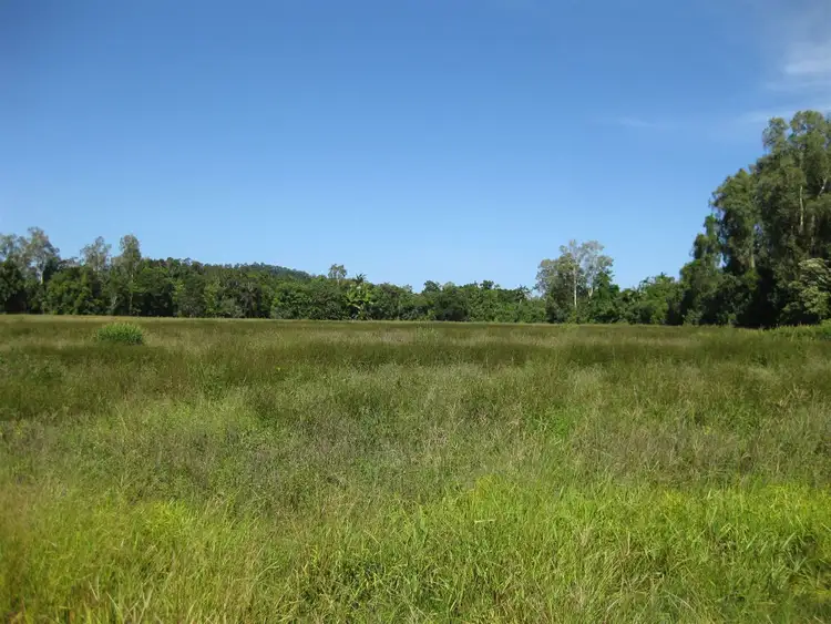 Fifth view of Homely rural property listing, 55 Marron Road, Lower Tully QLD 4854
