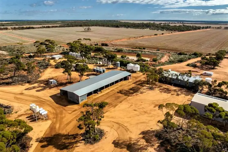 Third view of Homely rural property listing, 8846 Rabbit Proof Fence Road (Geeraning), Elachbutting WA 6479