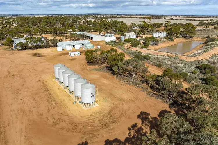 Seventh view of Homely rural property listing, 8846 Rabbit Proof Fence Road (Geeraning), Elachbutting WA 6479