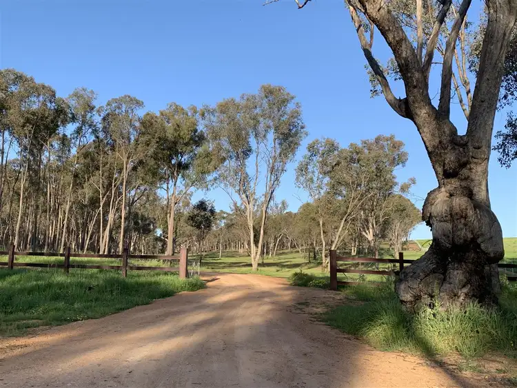 Second view of Homely rural property listing, . Holbrook Wagga Road, Cookardinia NSW 2650