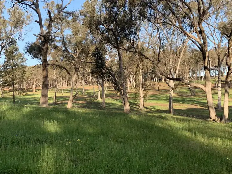Third view of Homely rural property listing, . Holbrook Wagga Road, Cookardinia NSW 2650