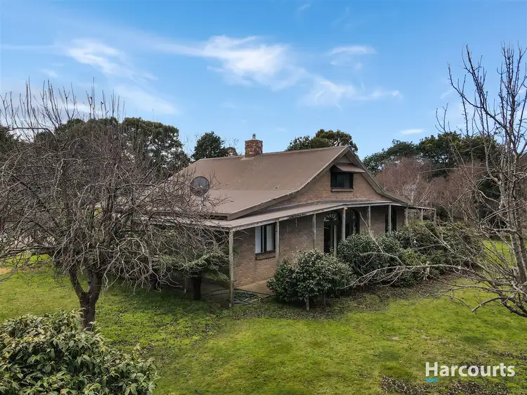 Third view of Homely rural property listing, 2 Nicks Close, St Helens TAS 7216