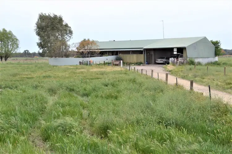 Main view of Homely rural property listing, 11 Beglehole Rd, Murrabit VIC 3579
