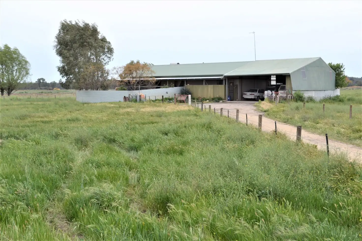 Main view of Homely rural property listing, 11 Beglehole Rd, Murrabit VIC 3579