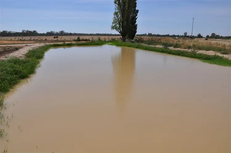 Second view of Homely rural property listing, 11 Beglehole Rd, Murrabit VIC 3579