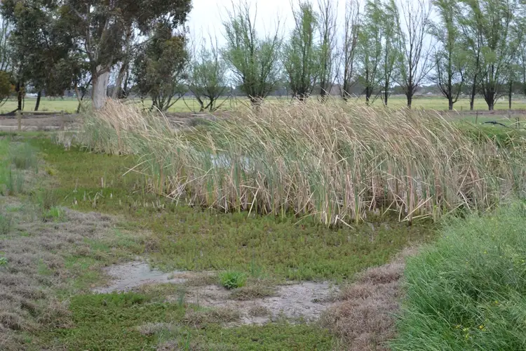 Third view of Homely rural property listing, 11 Beglehole Rd, Murrabit VIC 3579