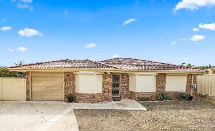 Second view of Homely house listing, 11 Monstera Court, Alexander Heights WA 6064