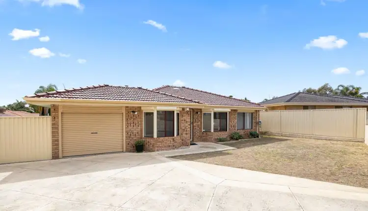 Third view of Homely house listing, 11 Monstera Court, Alexander Heights WA 6064
