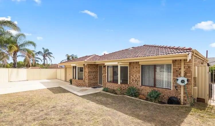 Fourth view of Homely house listing, 11 Monstera Court, Alexander Heights WA 6064