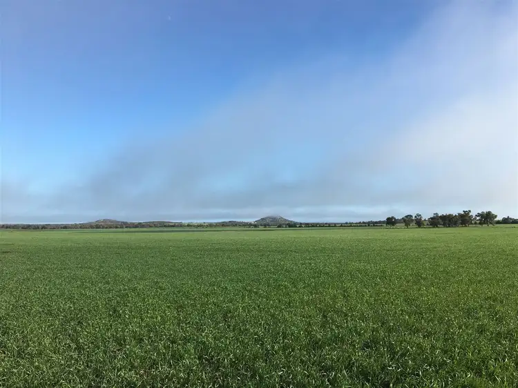 . Mologa-Echuca Road, Mitiamo VIC 3573