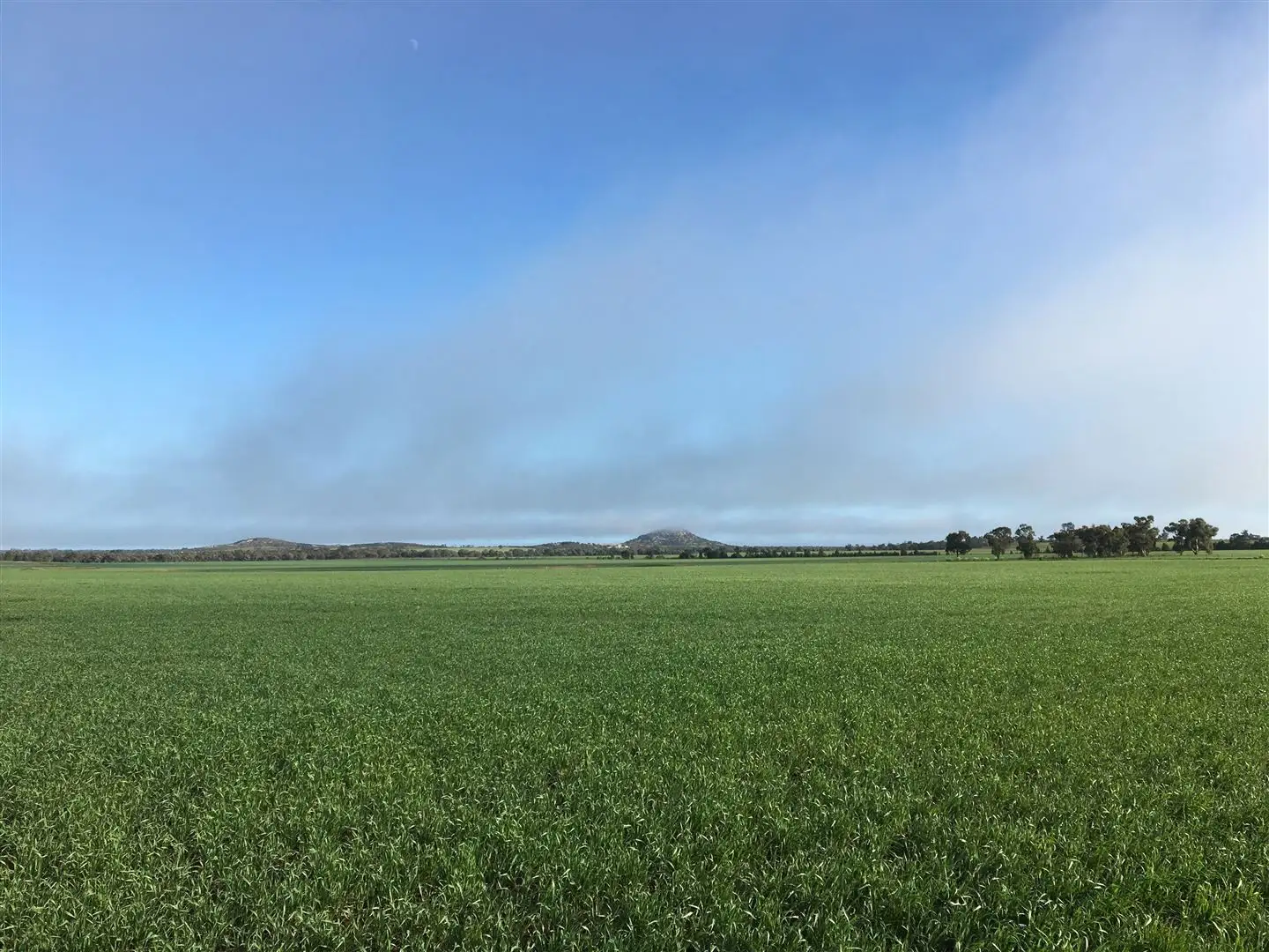 Main view of Homely rural property listing, . Mologa-Echuca Road, Mitiamo VIC 3573