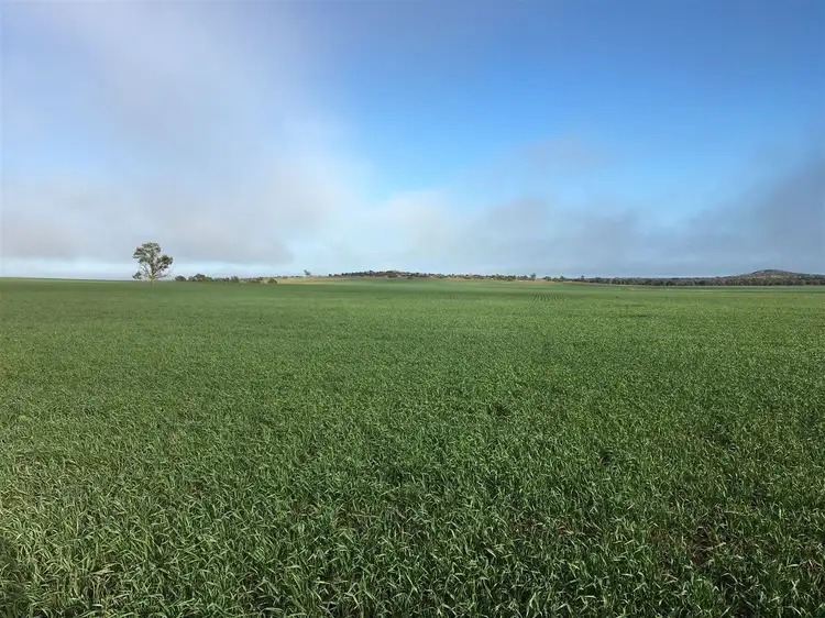 Third view of Homely rural property listing, . Mologa-Echuca Road, Mitiamo VIC 3573
