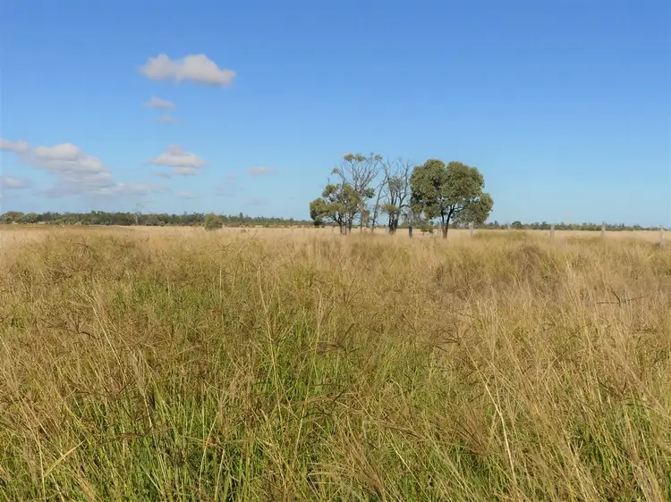 Main view of Homely rural property listing, Pinora West 500 Lambing Flat Road, Jackson QLD 4426
