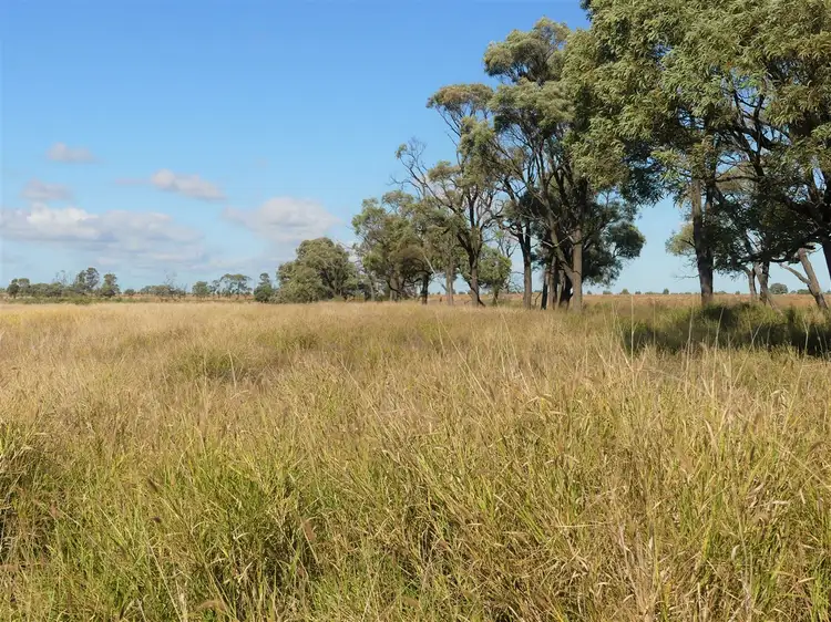 Second view of Homely rural property listing, Pinora West 500 Lambing Flat Road, Jackson QLD 4426
