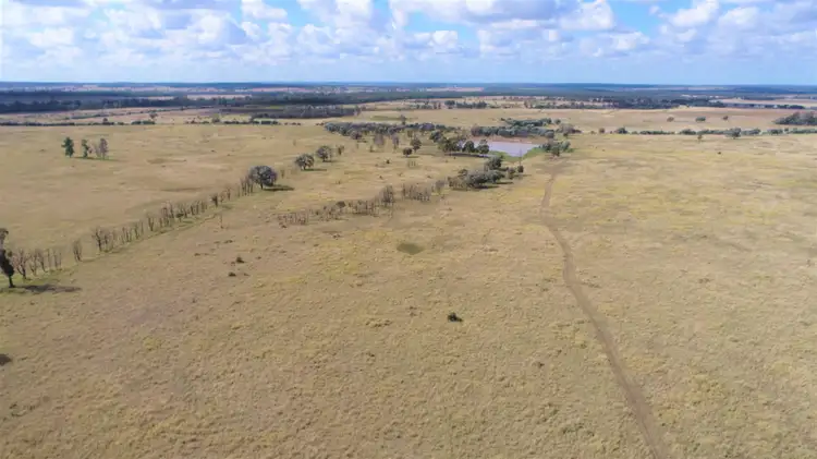 Third view of Homely rural property listing, Pinora West 500 Lambing Flat Road, Jackson QLD 4426
