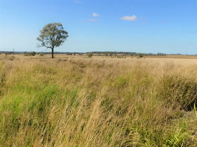 Fifth view of Homely rural property listing, Pinora West 500 Lambing Flat Road, Jackson QLD 4426