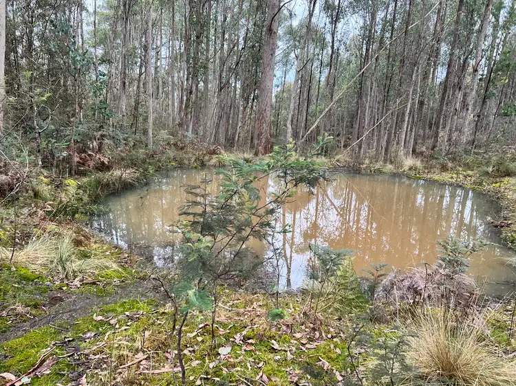 lot 13836, LOT 13836, 290 Woolridge Road, Rhyndaston TAS 7120