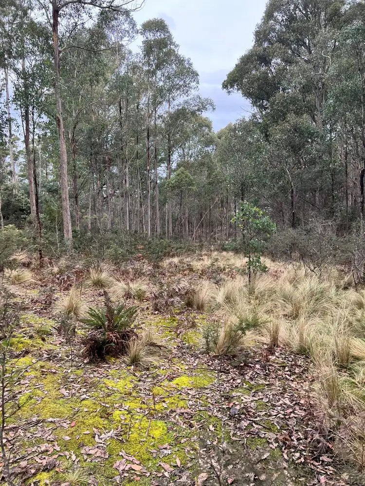 Second view of Homely land listing, lot 13836, LOT 13836, 290 Woolridge Road, Rhyndaston TAS 7120