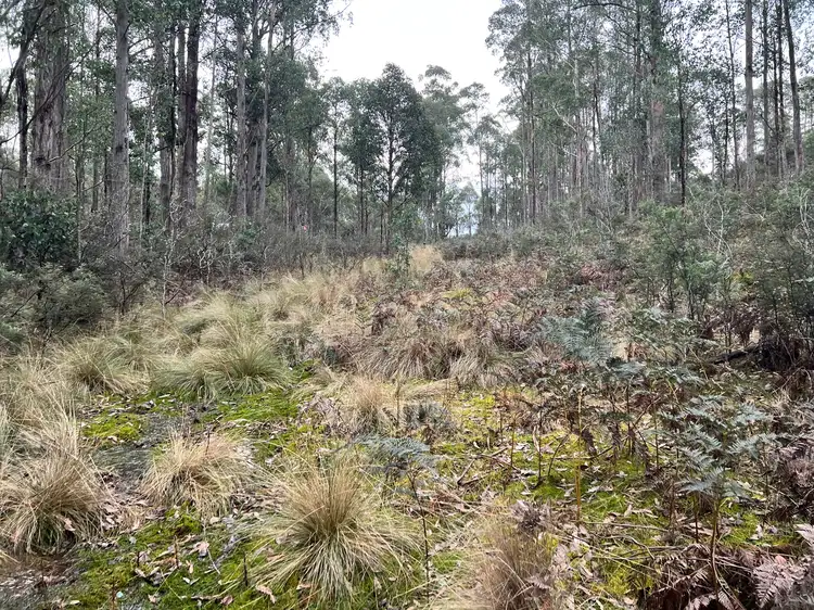 Third view of Homely land listing, lot 13836, LOT 13836, 290 Woolridge Road, Rhyndaston TAS 7120