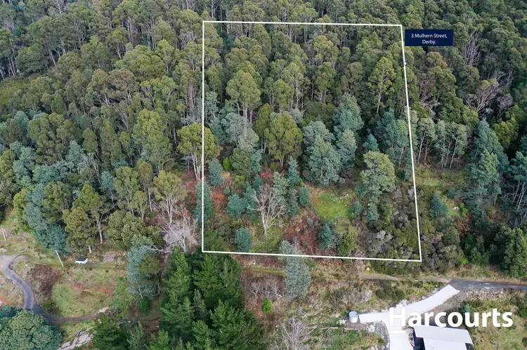 Main view of Homely land listing, 3 Mulhern Street, Derby TAS 7264