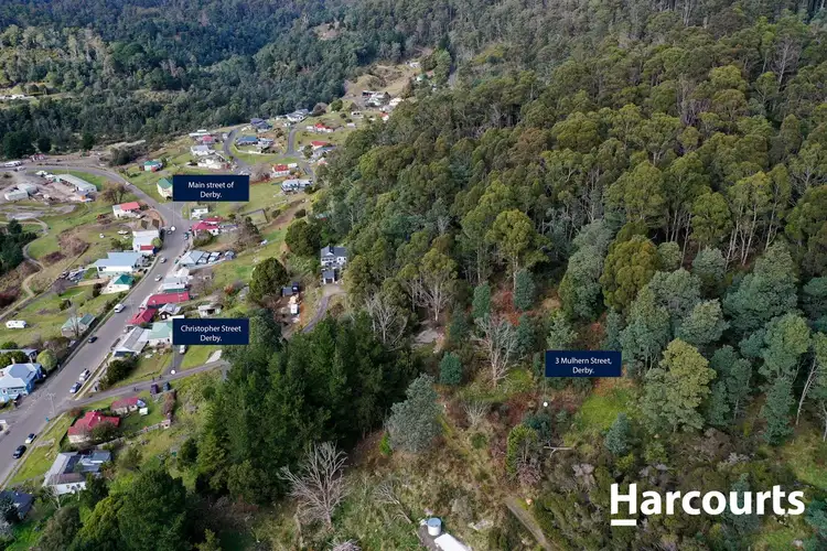 Third view of Homely land listing, 3 Mulhern Street, Derby TAS 7264
