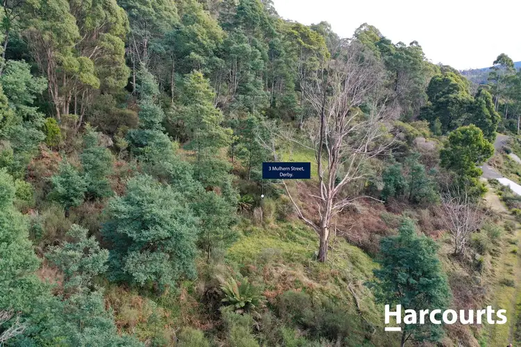 Fifth view of Homely land listing, 3 Mulhern Street, Derby TAS 7264