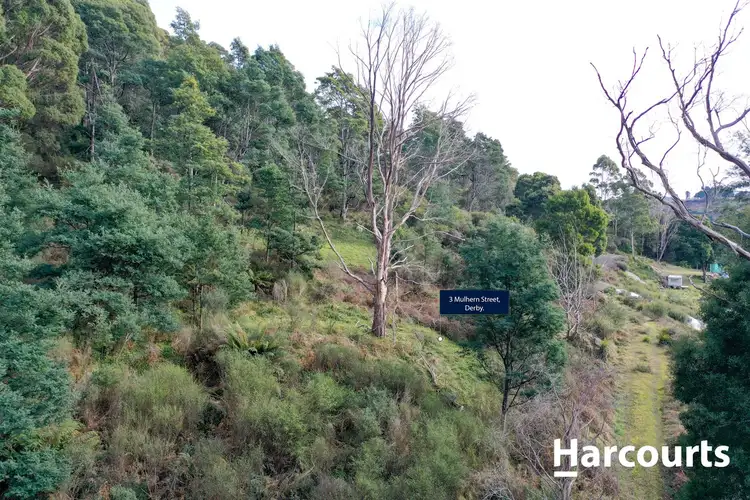 Sixth view of Homely land listing, 3 Mulhern Street, Derby TAS 7264