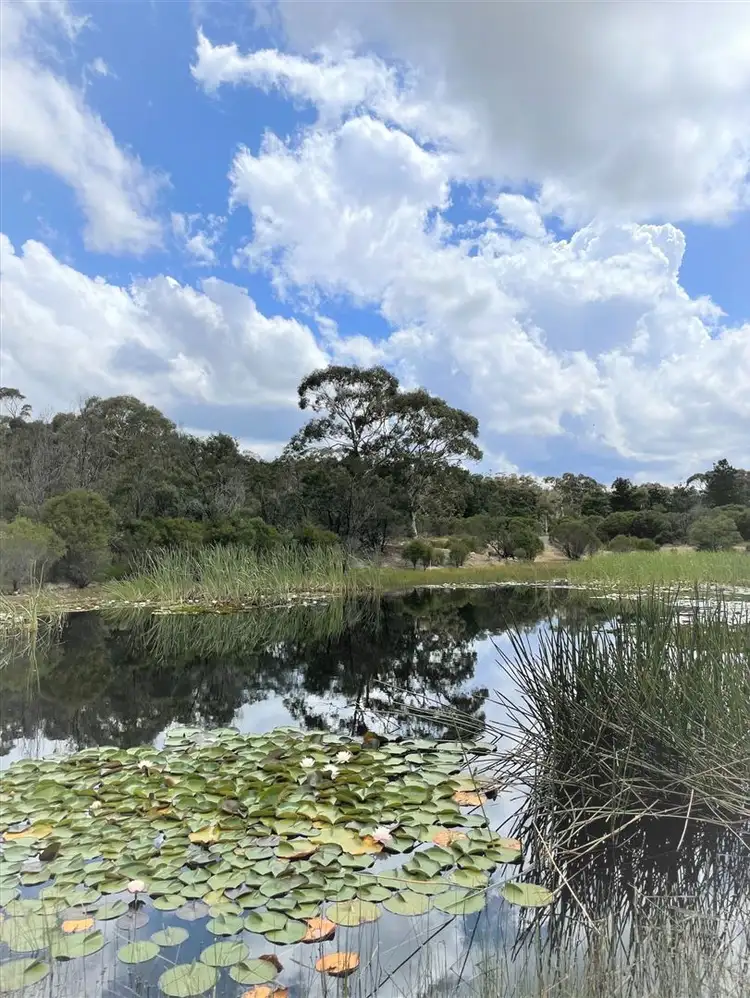 977 Bombay Road, Braidwood NSW 2622