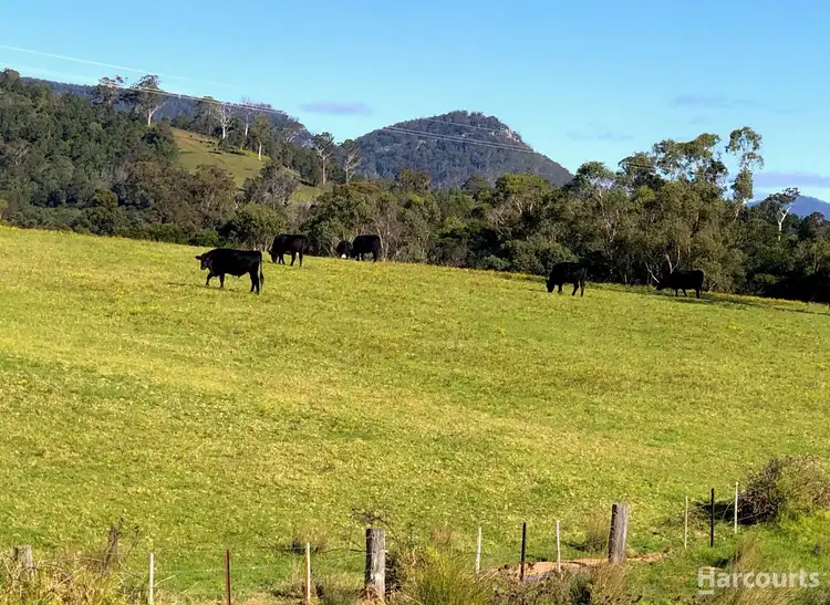 Second view of Homely other listing, Lot 40 Stage 1 Wolumla Estate, Wolumla NSW 2550