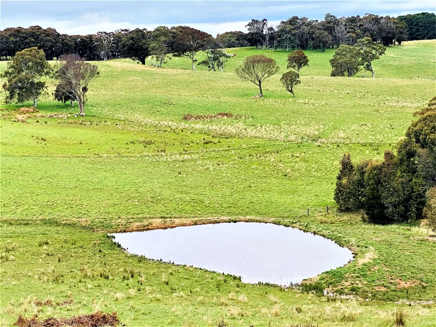 Main view of Homely rural property listing, 2475 Gurrundah Road, Gurrundah Via, Goulburn NSW 2580