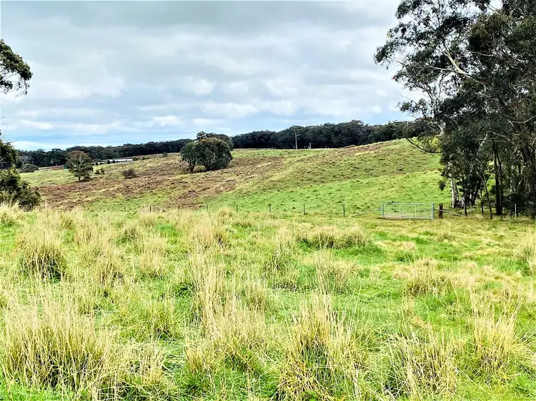 Fifth view of Homely rural property listing, 2475 Gurrundah Road, Gurrundah Via, Goulburn NSW 2580